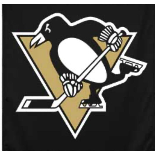 NHL Pittsburgh Penguins Skating Penguin Black Glass Frame Wall Decor 12.5"x12.5"