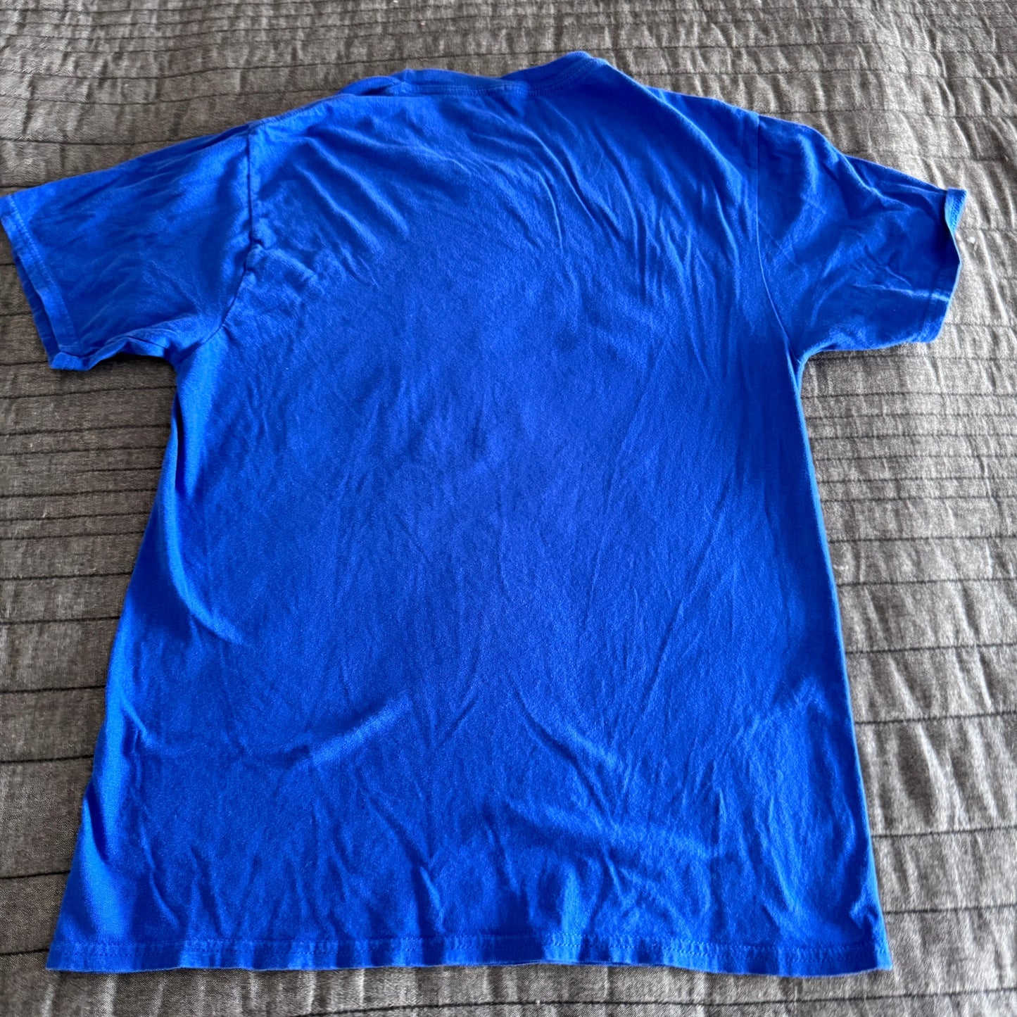 Vintage Fanatics MLB Chicago Cubs Blue 2016 World Series T-Shirt Men's Small