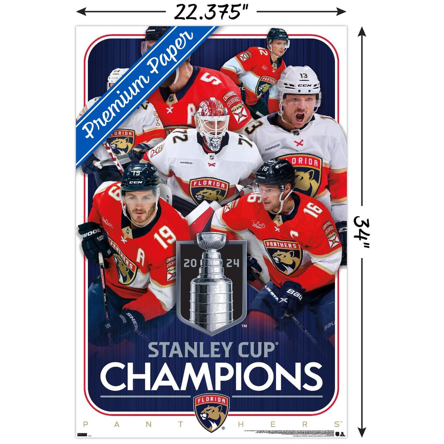 NHL Florida Panthers 2024 Stanley Cup Champions Wall Poster 34L"x 22.4" Unframed