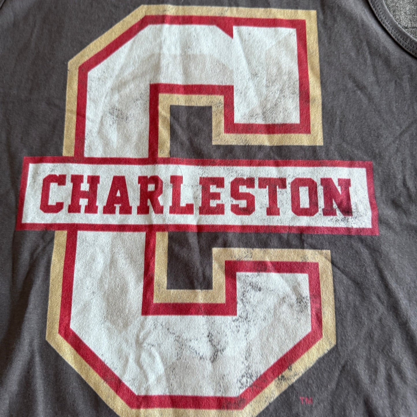 NWT Fruit of the Loom Charleston Cougars Gray NCAA Logo Tank Top Men's Small